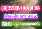WOLF CCIE RS ֱͨȫ ΰѧϰʼ° -ֽ mybase onenote