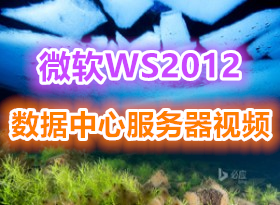 Windows Server 2012 �������ĵĲ���ϵͳϵ�пγ�(11��)