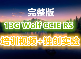 13G Wolf ���°� CCIE RS ��ѵ��Ƶ ������ʵ�� ������ һ��ѧ��˼�����缼���γ�