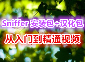 Sniffer 4.75 ��װ����������+�����ŵ���ͨ��Ƶ+10��ʵ������ĵ�