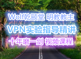 WolfǬ ̽Ƶγ VPNʵָ ʮĥһ